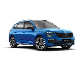 SKODA KAMIQ 2021 (21) at McMillan Motors Greenock