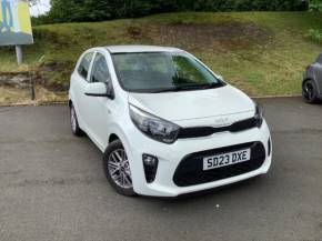 KIA PICANTO at McMillan Motors Greenock