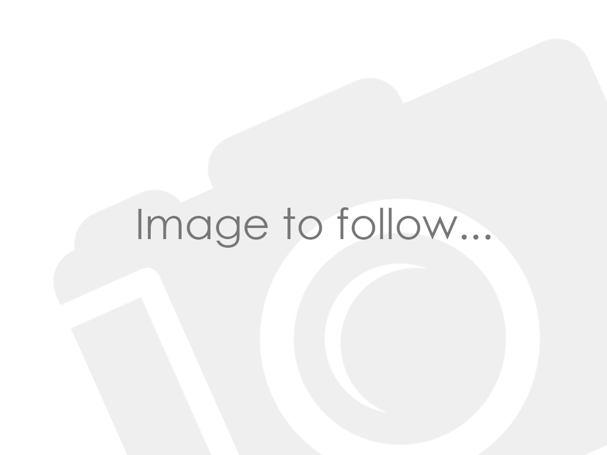 2025 MG Motor UK HS